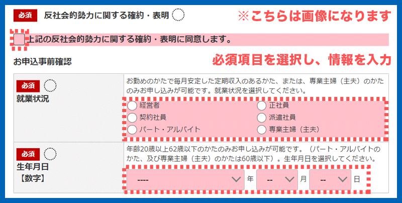 楽天の規約事前確認情報入力画面